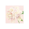 Peony Placecard