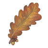 Autumn Leaf Placecards