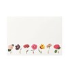 In Bloom Note Cards