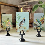 Birds of India Placecards