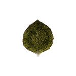 Green Leaf Hydrangea Plate